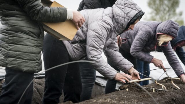 Oekraïners in Nederland veel aan het werk, andere asielzoekers niet: hoe kan dat?