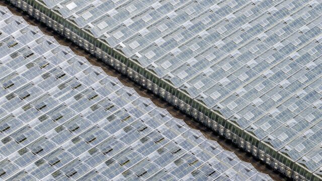 Duurzame glastuinders noodzakelijk terug aan het gas
