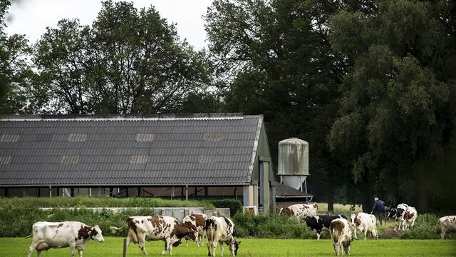 Stand.nl: 'Het kabinet moet compromisloos vasthouden aan de strenge stikstofplannen'