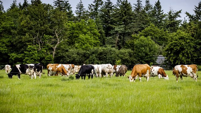 BBB: geef kleine natuurgebieden op, maak grotere natuurgebieden