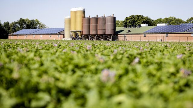 Hoe kan de EU Nederland helpen de stikstofcrisis aan te pakken?