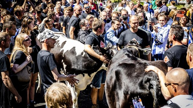 Hoe kan de politie het beste omgaan met geweld zoals dat bij de boerenprotesten?