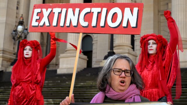 Extinction Rebellion ziet beweging hard groeien na vastlijmactie aan talkshowtafel