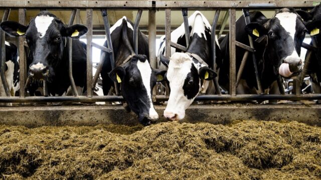 Landbouweconoom: 'Agrarische sector onmisbaar voor onze economie'