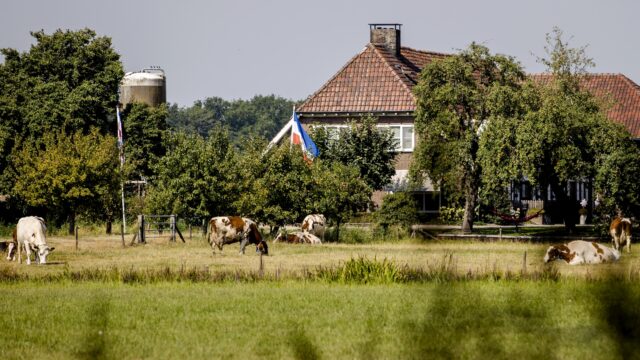 Stand.nl: 'De nieuwe minister van landbouw moet een boerenachtergrond hebben'