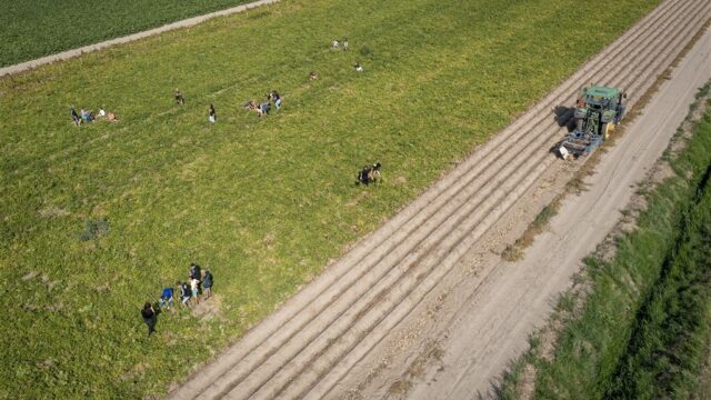 Flevoland wilde uitkoop boeren afstemmen met Schiphol