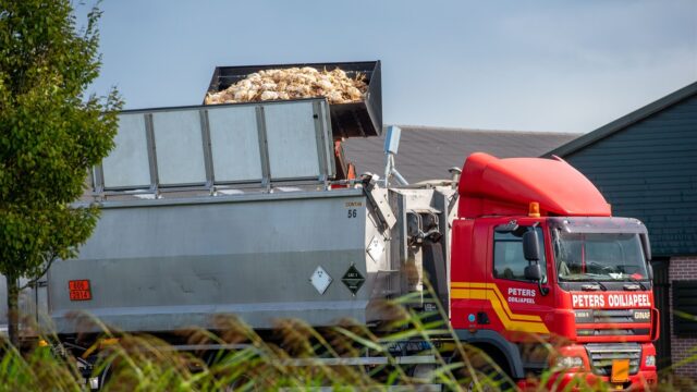 Vogelgriep bij de mens? De vraag is niet of, maar wanneer