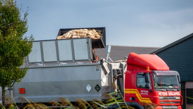 Wordt vogelgriep de nieuwe coronacrisis? En nog acht vragen over de vogelgriep