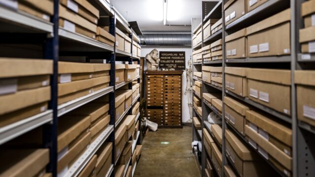 Hoe het precies zit met de geopenbaarde dossiers van de BVD