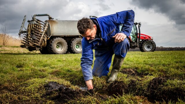 Wat de Provinciale Statenverkiezingen betekenen voor de boeren in Nederland