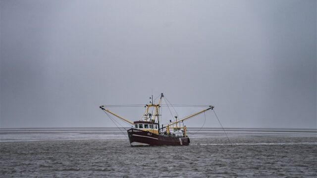 Stand.nl: 'Er is geen toekomst meer voor de Nederlandse garnalenvisserij'