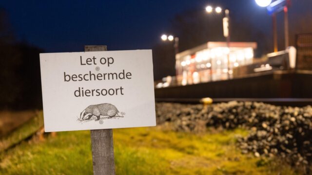 Verstoord treinverkeer: 'Dit is slecht voor het imago van de das'