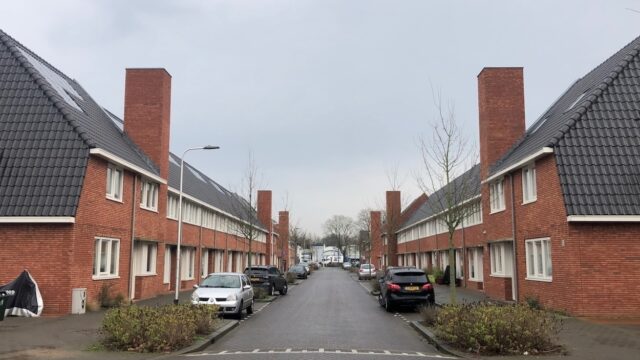 Nepschoorstenen voor de vleermuis