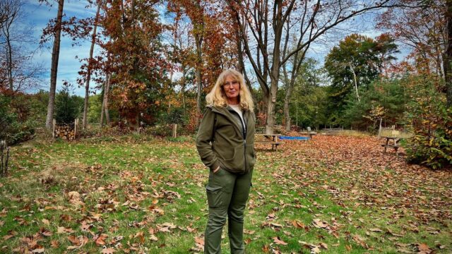 Wat moet er gedaan worden aan de drukte in de bossen rondom Lage Vuursche?