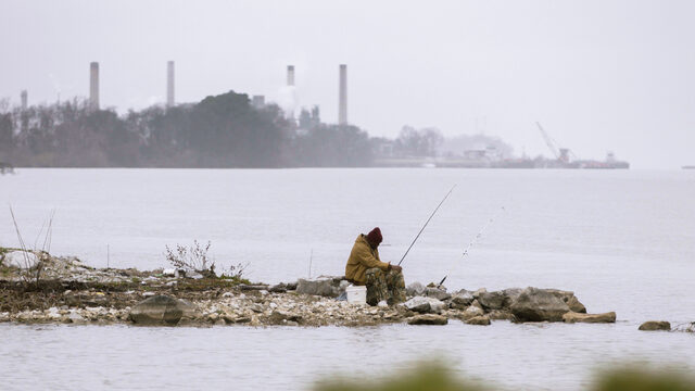 Garnalen uit Westerschelde niet veilig om te eten