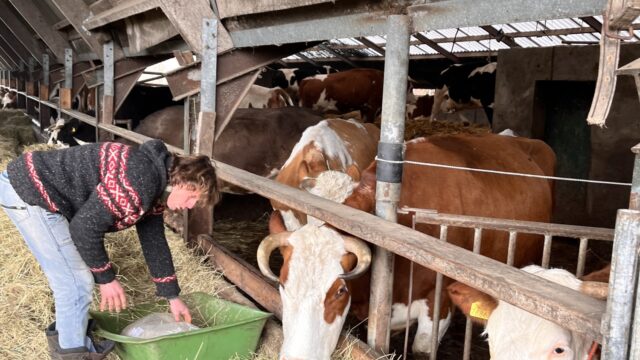 De nieuwe manier van boeren is eigenlijk heel oud