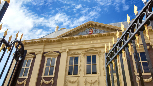 Mauritshuis vraagt publiek om hulp bij onderzoek eigen oorlogsverleden