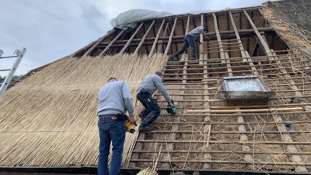 Flink betalen voor riet uit China: dakdekkers schrikken zich rot