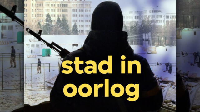 Dit zijn de genomineerden voor de belangrijkste radioprijs van het land