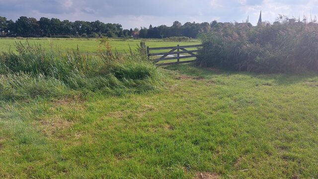 Meer natuur in kroondomein Volencampen