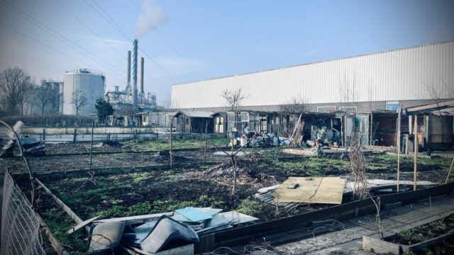 In Helmond moet de volkstuin worden gesloten vanwege PFAS: 'Ik wil mijn zuurverdiende werk terug'