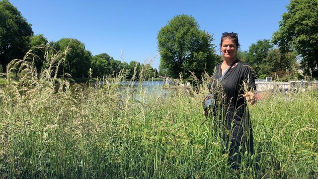 Wildplukken met Yvette van Boven: 'Er is meer dan eten uit de supermarkt'