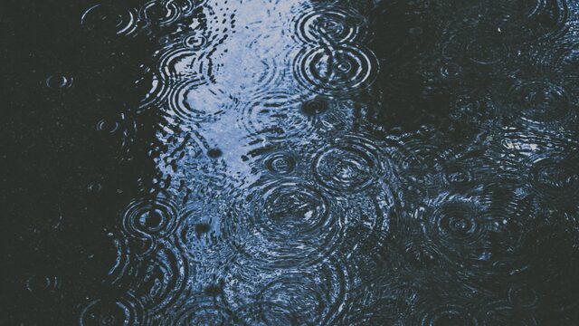 Alledaagse Vragen - Wat is die geur na een zomerse regenbui? | NPO Radio 1