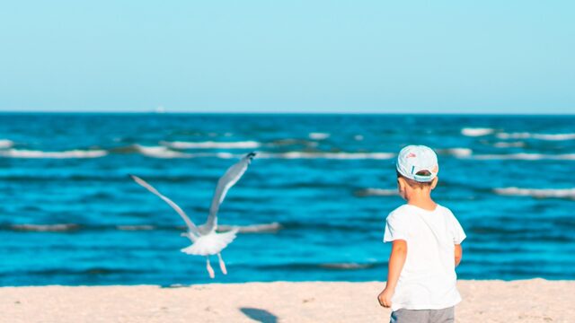 Jochem Myjer: 'We moeten de jeugdige bewondering voor de natuur weer oprakelen'