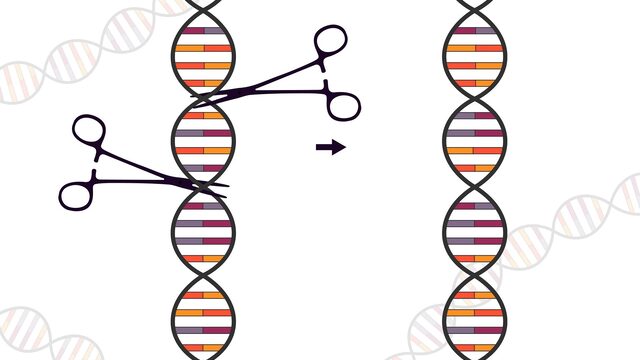 Voor het eerst Nederlandse patiënt behandeld met techniek Crispr-Cas
