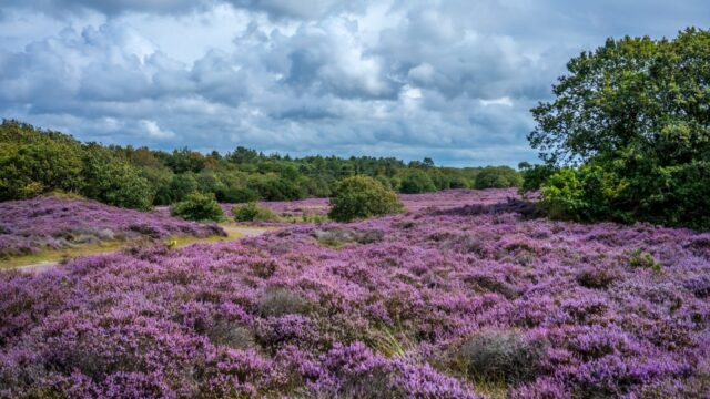 Hoe beschermen én genieten we van natuurgebieden?