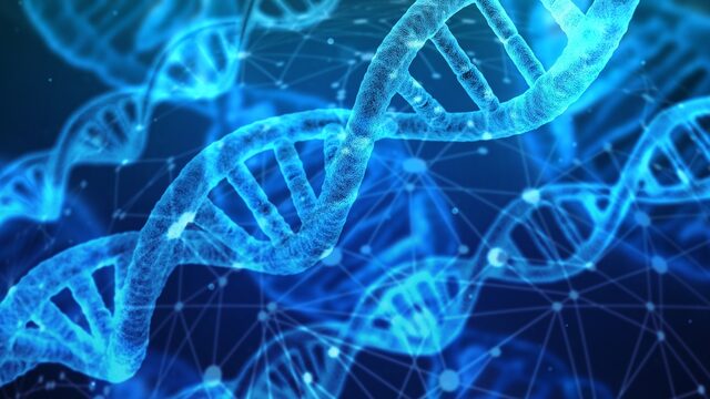 Wereldprimeur in de stamceltherapie: nieuwe behandeling voor erfelijke ziektes