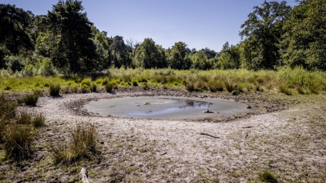 Zorgen om wateroverlast en extreme droogte: 'Wij wonen letterlijk in een badkuip'