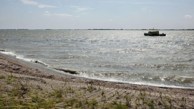 Advocaat adviseert grootschalig bloedonderzoek in Zeeuws-Vlaanderen: 'PFAS is asbest van 21e eeuw'