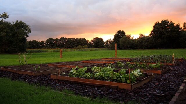 Zo wil Bakkeveen het allergezondste dorp van het land worden