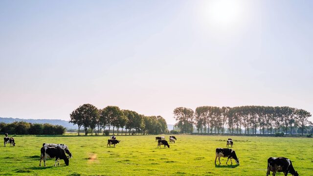Nederland moet van het slot: 'Dat betekent dat je stikstofruimte moet creëren'