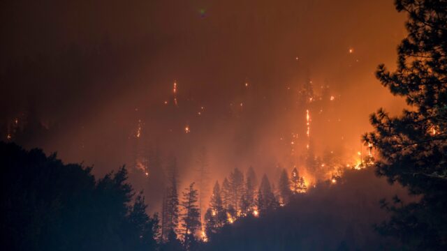 Alledaagse Vragen - Hoeveel CO2 komt er bij bosbranden vrij?