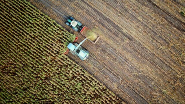 Hoe ziet de toekomst van de agrarische sector in Nederland eruit na rapport Remkes?
