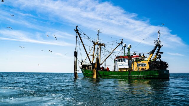 Tjeerd de Groot (D66) over pulsvisserij: 'Blamage voor Nederland'