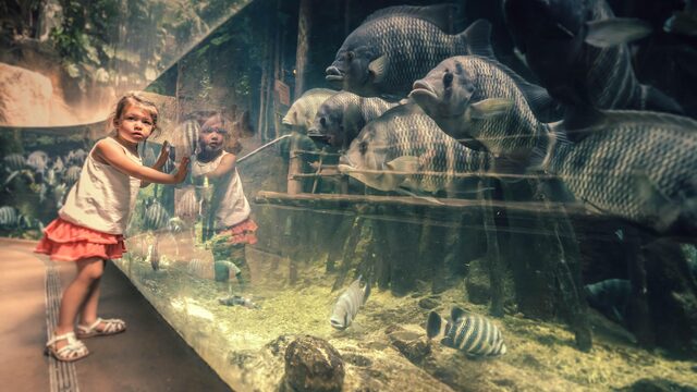 Moeten we af van de dierentuin?