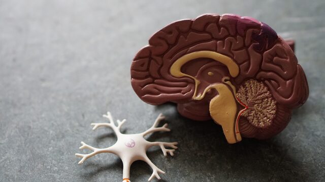 Neurowetenschapper Rick Wassing hackt je brein terwijl je slaapt