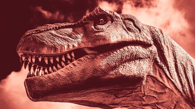 Zo kun jij de volgende Tyrannosaurus rex ontdekken