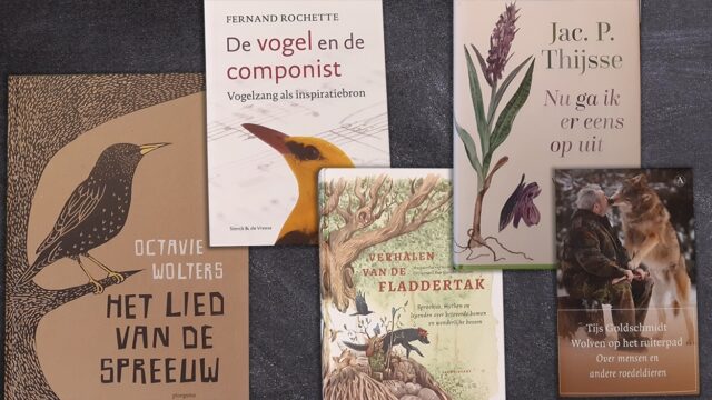 Wie wint morgen de Jan Wolkers Prijs? Dit zijn de genomineerden