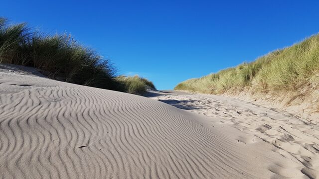PFAS in Nederlandse duinen: wat betekent dat voor onze strandvakantie?
