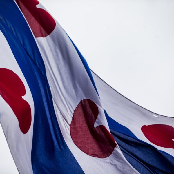 'De meeste Friezen spreken Fries, maar zijn analfabeet in eigen taal'