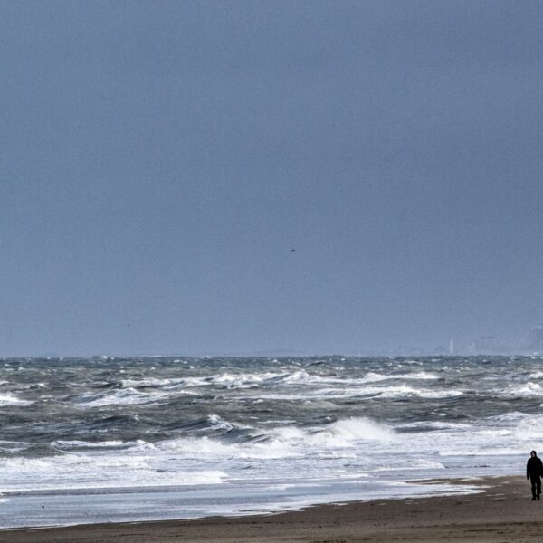 Beschermd zeebodemgebied Noordzee uitgebreid