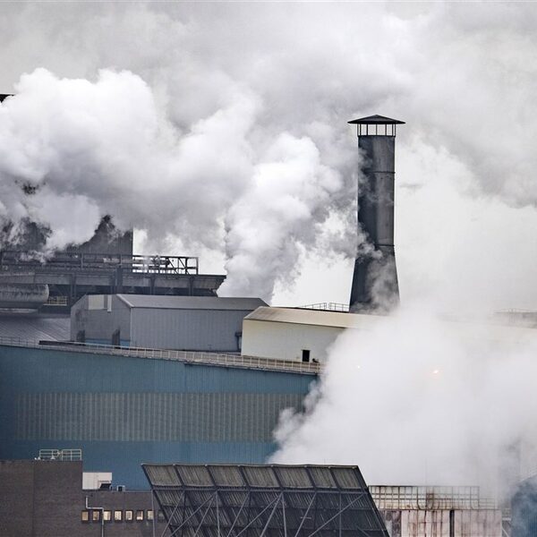 Podcast De Dag: vergroening Tata en Shell onder de loep