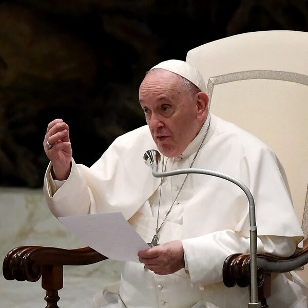 'Mensen kiezen voor een kat in plaats van een kind'