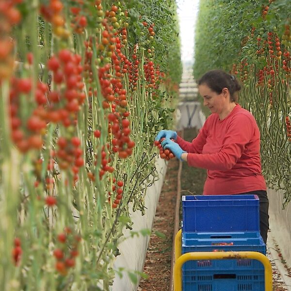 Podcast De Dag: Nederland, lagelonenland