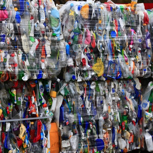 80 procent van vlees en melk bevat plastic: ‘Groot varken krijgt creditcard aan plastic per dag binnen’