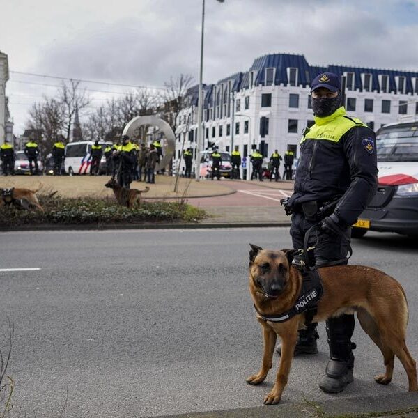 Wordt er goed gezorgd voor politiehonden- en paarden? 'Het zijn onze collega’s'